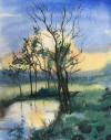 aquarelle